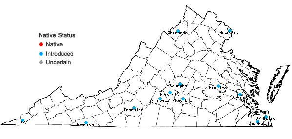 Locations ofBromus secalinus L. in Virginia