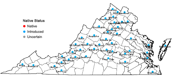 Locations ofBromus sterilis L. in Virginia