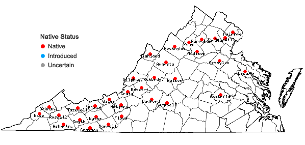 Locations ofBrotherella recurvans (Michx.) M. Fleisch. in Virginia