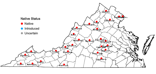 Locations ofBryhnia graminicolor (Brid.) Grout in Virginia