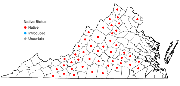 Locations ofBryodesma rupestre (L.) J. Sojak in Virginia