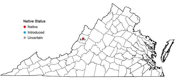 Locations ofBryoerythrophyllum recurvirostrum (Hedw.) P. C. Chen in Virginia
