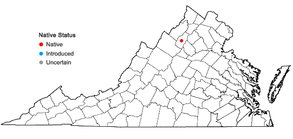 Locations ofBucklandiella affinis (Schleich. ex F. Weber & D. Mohr) Bednarek-Ochyra & Ochyra in Virginia