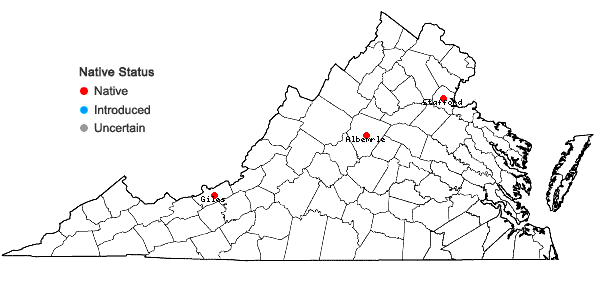 Locations ofBucklandiella sudetica (Funck) Bednarek-Ochyra & Ochyra in Virginia