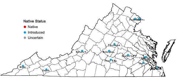 Locations ofBuddleja davidii Franch. in Virginia