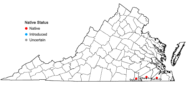 Locations ofBurmannia biflora L. in Virginia