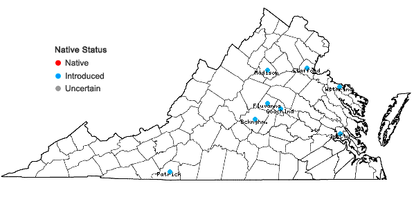 Locations ofBuxus sempervirens L. in Virginia