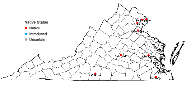 Locations ofCabomba caroliniana A. Gray in Virginia