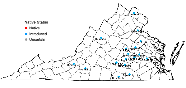 Locations ofCalepina irregularis (Asso) Thellung in Virginia