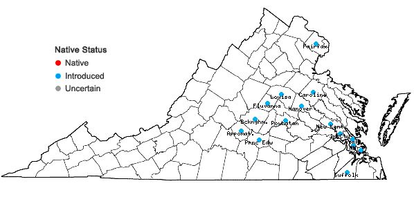 Locations ofCallicarpa dichotoma (Loureiro) K. Koch in Virginia