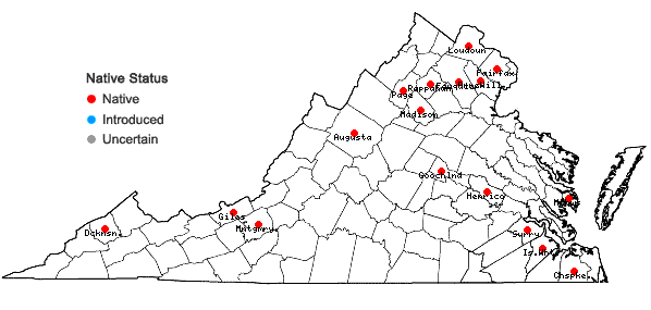 Locations ofCallicladium haldanianum (Grev.) H.A. Crum in Virginia