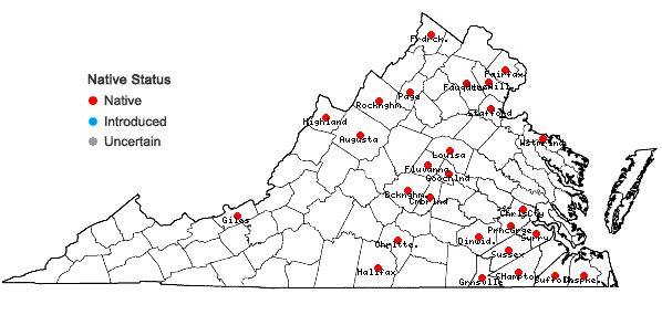 Locations ofCallitriche terrestris Raf. in Virginia