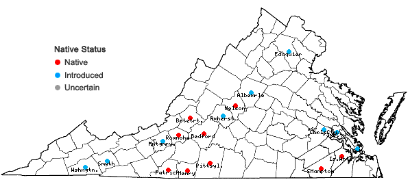 Locations ofCalycanthus floridus L. in Virginia