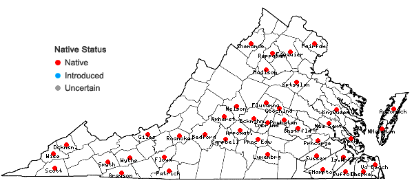 Locations ofCalypogeia neogaea (R.M. Schust.) Bakalin in Virginia