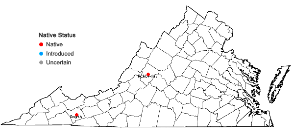 Locations ofCalypogeia suecica (Arnell & J. Perss.) K. Müller in Virginia
