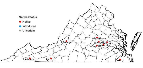 Locations ofCalypogeia sullivantii Austin in Virginia