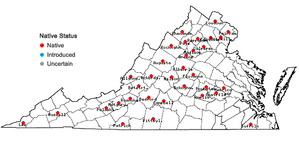 Locations ofCalystegia spithamaea (L.) Pursh ssp. spithamaea in Virginia