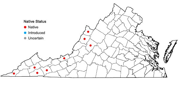 Locations ofCamassia scilloides (Raf.) Cory in Virginia
