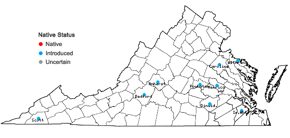 Locations ofCamelina sativa (Linnaeus) Crantz in Virginia