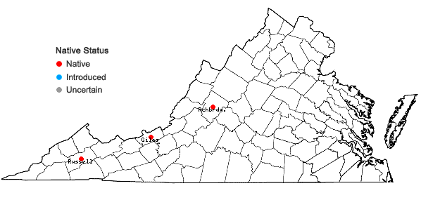 Locations ofCampanula rotundifolia L. in Virginia
