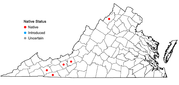 Locations ofCampylium stellatum (Hedw.) C.E.O. Jensen in Virginia