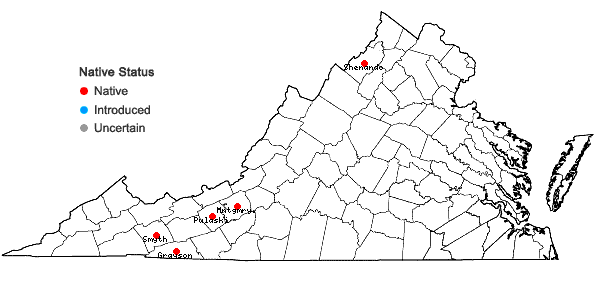 Locations ofCampylium stellatum (Hedw.) C.E.O. Jensen in Virginia