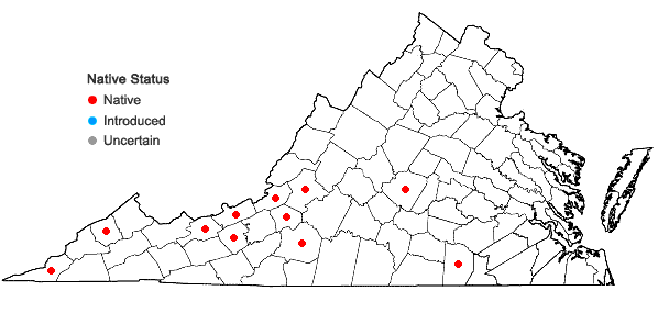 Locations ofCampylopus tallulensis Sull. & Lesq. in Virginia