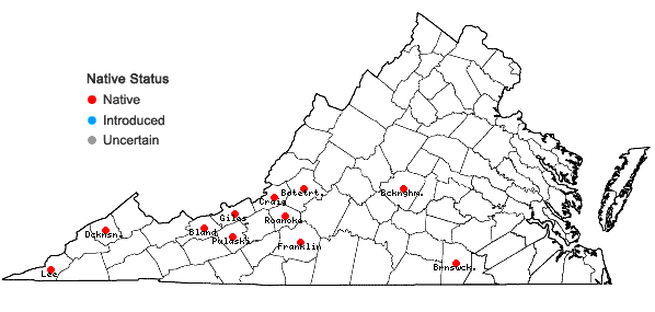 Locations ofCampylopus tallulensis Sull. & Lesq. in Virginia