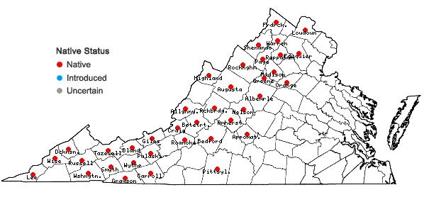 Locations ofCapnoides sempervirens (L.) Borkh. in Virginia