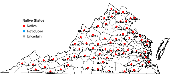 Locations ofCardamine bulbosa (Schreber ex. Muhlenberg) Britton, Sterns & Poggenberg in Virginia