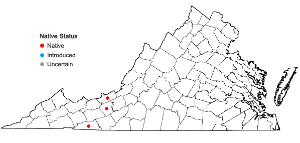 Locations ofCardamine flagellifera O. E. Schulz in Virginia