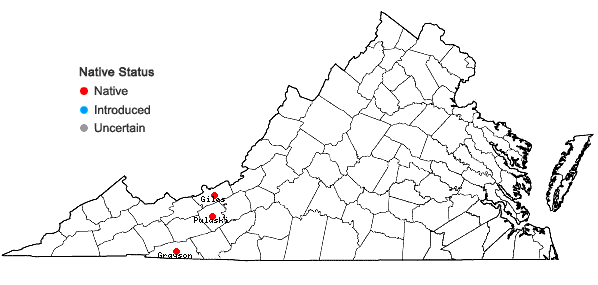 Locations ofCardamine flagellifera O. E. Schulz in Virginia