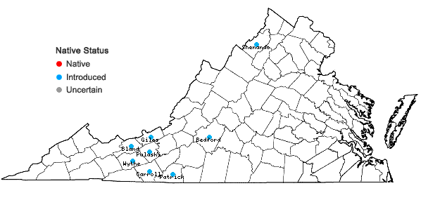 Locations ofCardamine impatiens Linnaeus in Virginia
