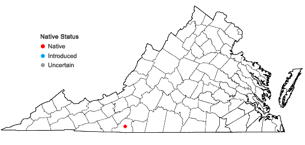 Locations ofCardamine micranthera Rollins in Virginia