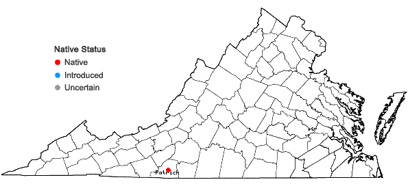 Locations ofCardamine micranthera Rollins in Virginia