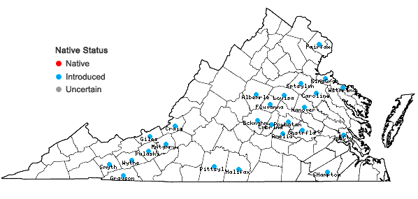 Locations ofCardamine occulta Hornem. in Virginia
