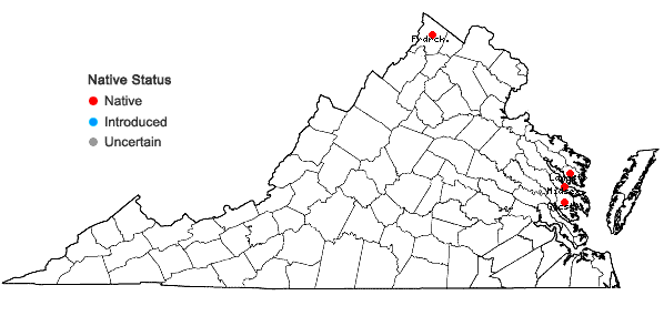 Locations ofCardamine pratensis L. var. palustris Wimm. & Graebn. in Virginia