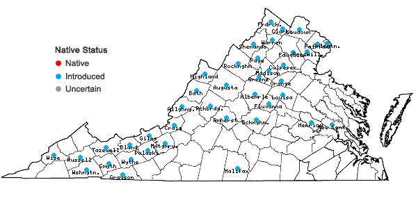 Locations ofCarduus acanthoides L. ssp. acanthoides in Virginia