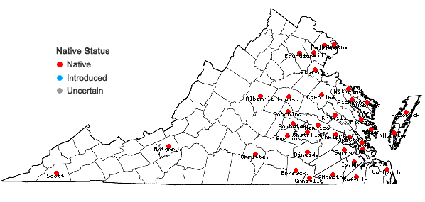 Locations ofCarex albicans Willd. ex Sprengel var. emmonsii (Dewey ex Torr.) Rettig in Virginia