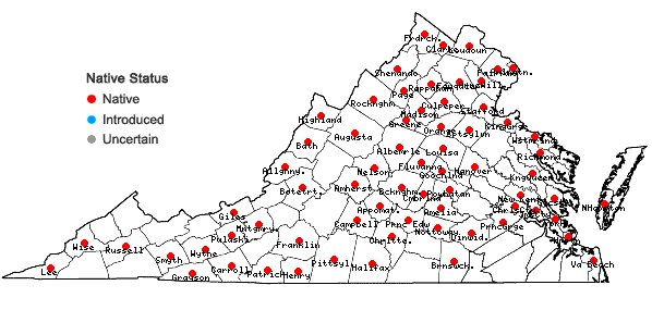 Locations ofCarex albicans Willd. ex Sprengel var. albicans in Virginia