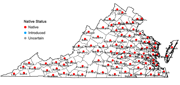 Locations ofCarex albicans complex in Virginia