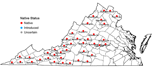 Locations ofCarex albursina Sheldon in Virginia