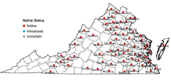 Locations ofCarex annectens (Bickn.) Bickn. in Virginia