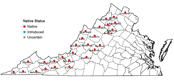 Locations ofCarex argyrantha Tuckerman ex Dewey in Virginia