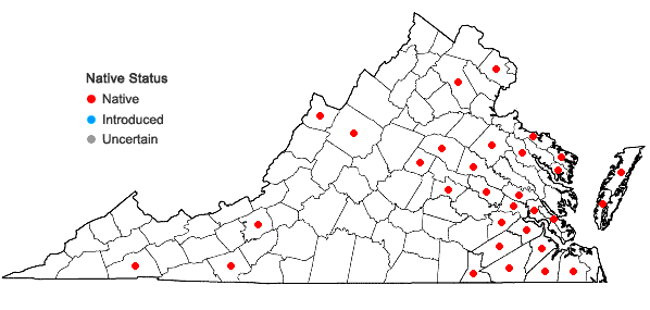 Locations ofCarex atlantica Bailey ssp. capillacea (Bailey) Rezn. in Virginia