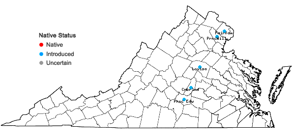 Locations ofCarex austrina Mackenzie in Virginia
