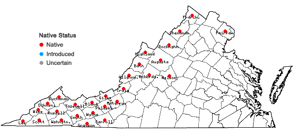 Locations ofCarex baileyi Britton in Virginia