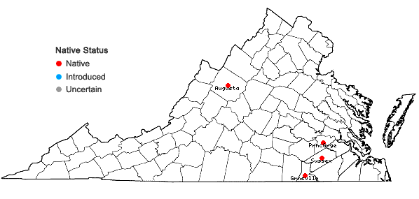 Locations ofCarex barrattii Schw. & Torr. in Virginia