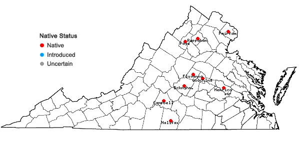Locations ofCarex brevior (Dewey) Mackenzie ex Lunell in Virginia