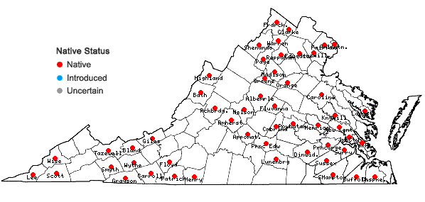 Locations ofCarex bromoides Schk. ex Willd. ssp. bromoides in Virginia